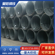 ����䓲��ݼy䓽� ������8̖�P�ݬF؛ �����׽��B���̘����Î���