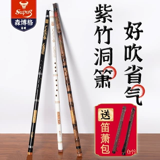 洞箫乐器初学入门专业演奏紫竹萧短箫古风八孔GF调一三节萧笛长箫