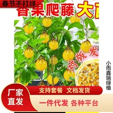 �J��9̖�S�������������޽Ә����ϱ����ļ��Nֲ���Բ���Y��