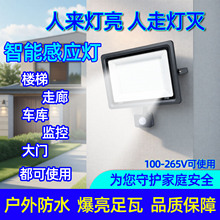 LEDwБˮˁ܇OͥԺ110VtͶ