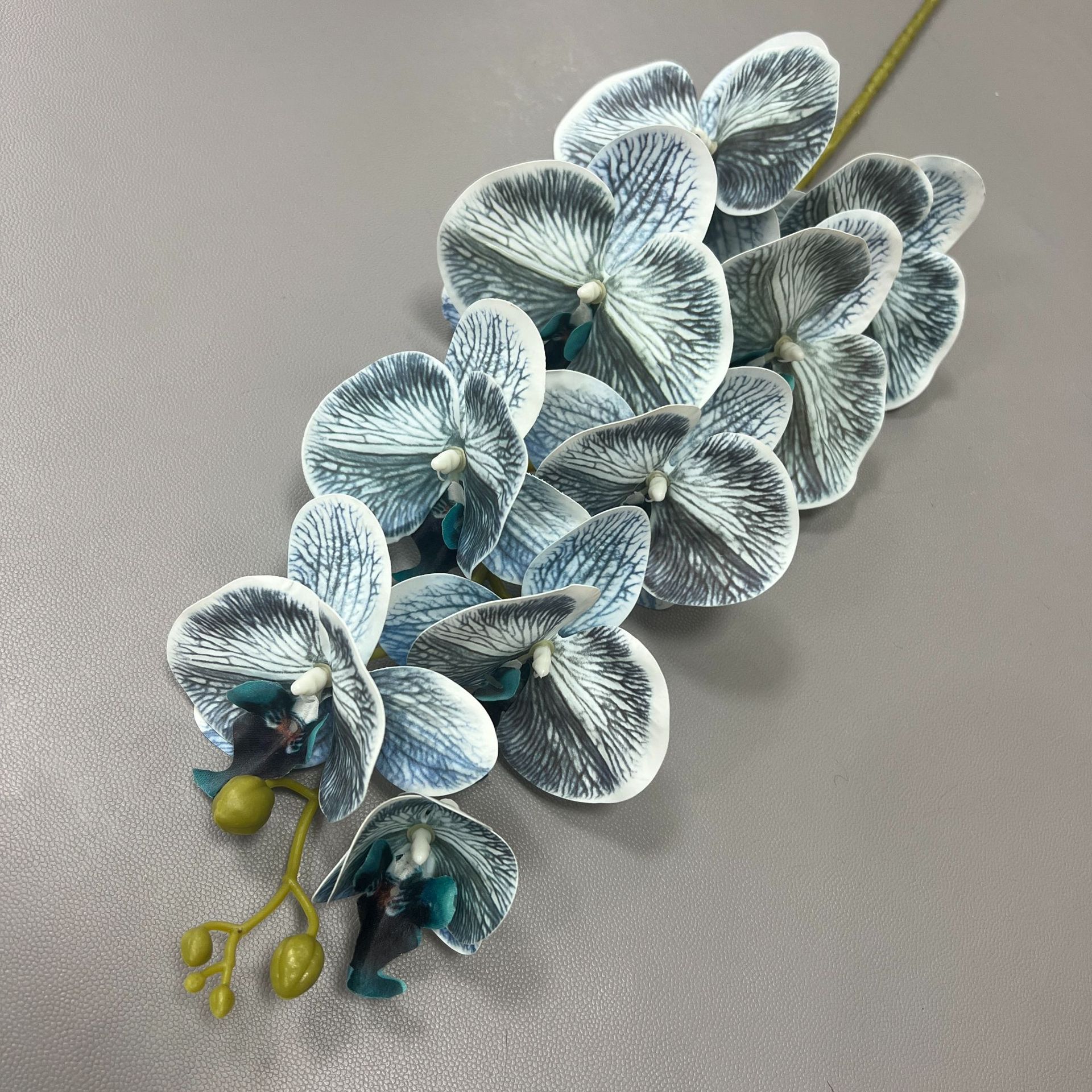 9 호접란-03