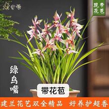 ˮ���������m���罨�m�������G�B���҃��m���ļ��_���͏d��������