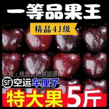 ��һ��Ʒ��������������܇���Ӵ�����r�ЋD�ش����һ���]