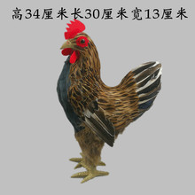 ALI6仿真鸡模型公鸡母鸡下蛋鸡摆件工艺品拍摄道具羽毛动物制品
