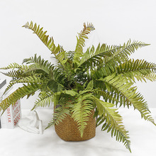 ����ާ�ֲ���˹�ݷ���ݲ�˹ާֲ��b���ާ���ָ����ϲ�