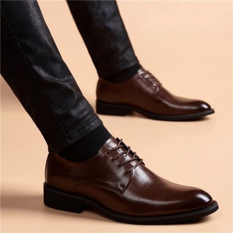 브라운 노멀 스타일