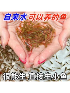 ��ȸ�~���~�^�p�~���~���~�Ꭷ��ˮ���B�ͻ���R�~��С���Pβ�~��
