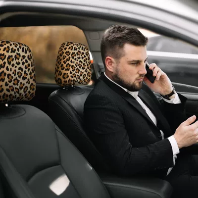 Car Headrest Cover with Cute Leopard Print Other Automotive Interior Supplies