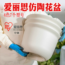 �����z�����֬���ϼӺ��������̨�����z����A�ηN����������