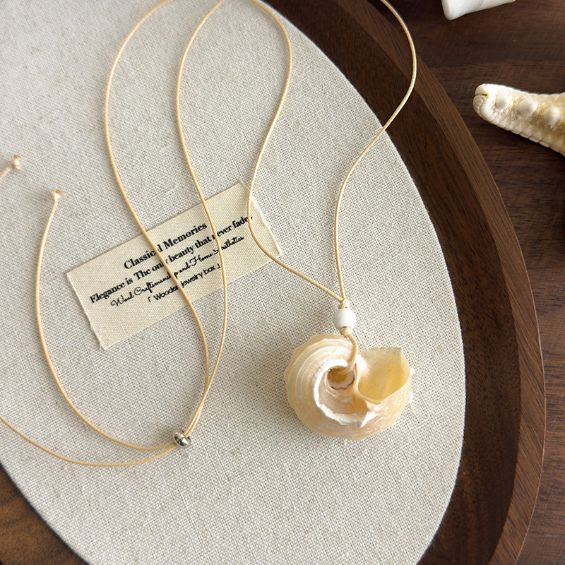 20250613-2025_06_13_13_08_IMG_