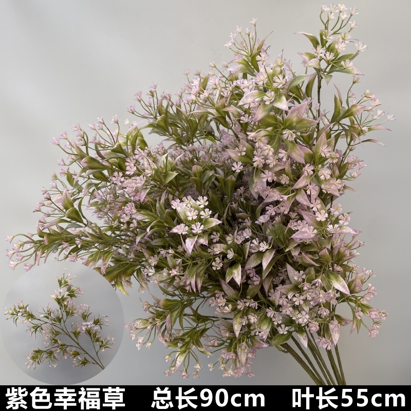 보라색 행복한 잔디