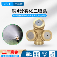 �~4���F�������^�������Ԅӳ��m���؈@�ֹ���r��늄�΢���F����