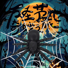 �f�}������֩��ֲ�����������˹����M�������ϐ�����ϔ[�O����