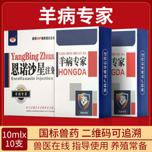 羊病特诊恩诺沙星注射液兽用药孕 畜可用针剂10ml10支山羊绵羊药