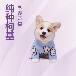 ���N�»���Ȯ���ۻ��w���BС���pɫ��ɫ����ʿȮ���ﹷ���ɐ�����