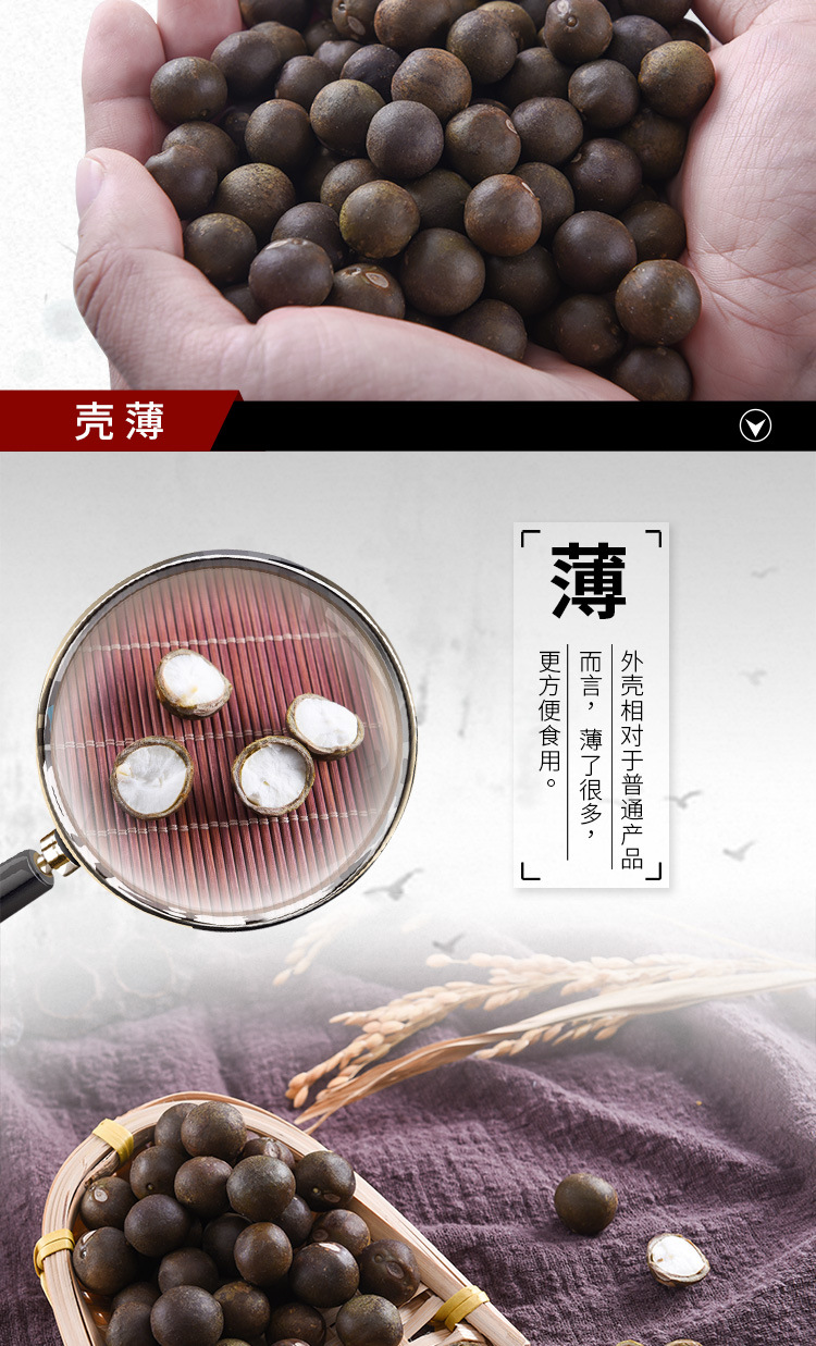 Qian Shi Gorgon Fruit Seeds Euryale Ferox Hybrid Variety Thin Shell Large Seed High Yield quality and texture