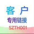 SZTH001�͑􌣌�朽�