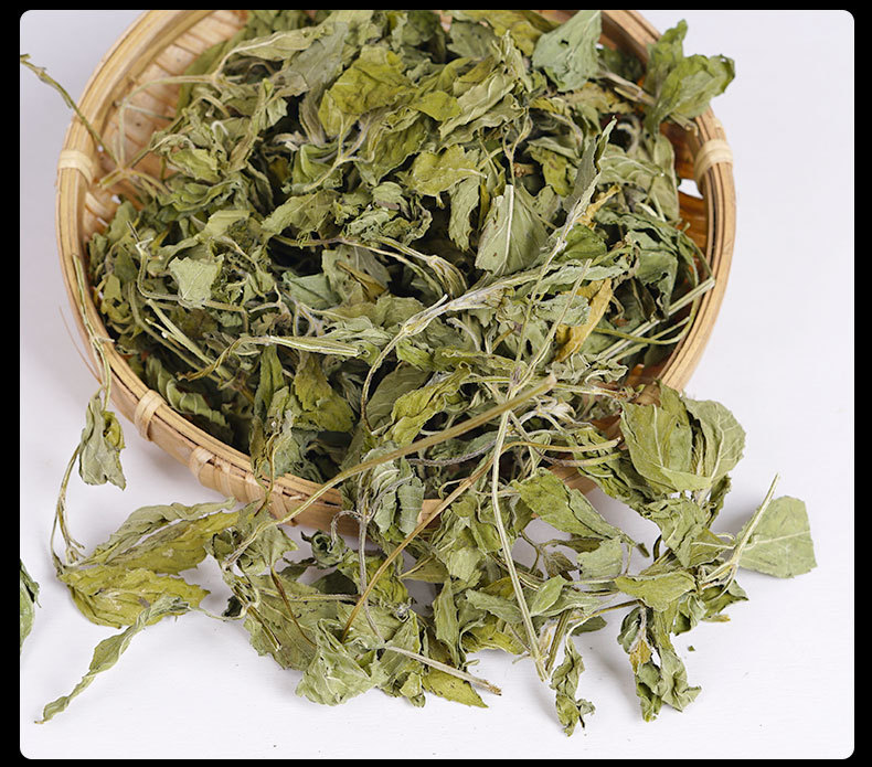 Dried Mint Leaves (Mentha haplocalyx) — Canned Mint Herbal Tea, 70g preparation