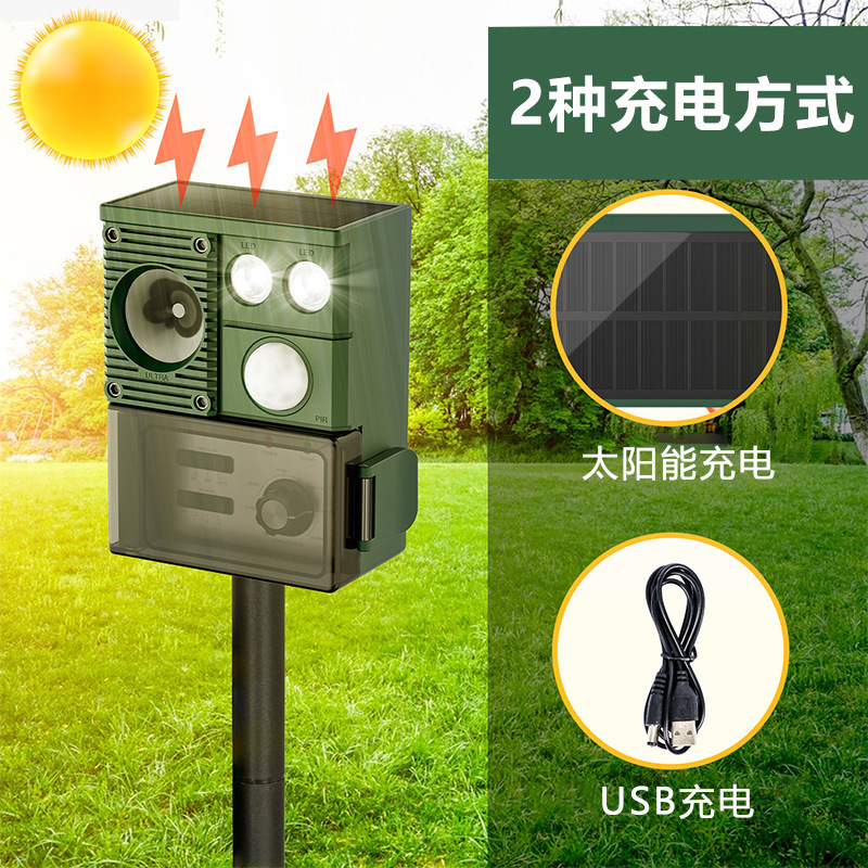 神器を追い払う太陽エネルギーは鳥を追い払います。|undefined