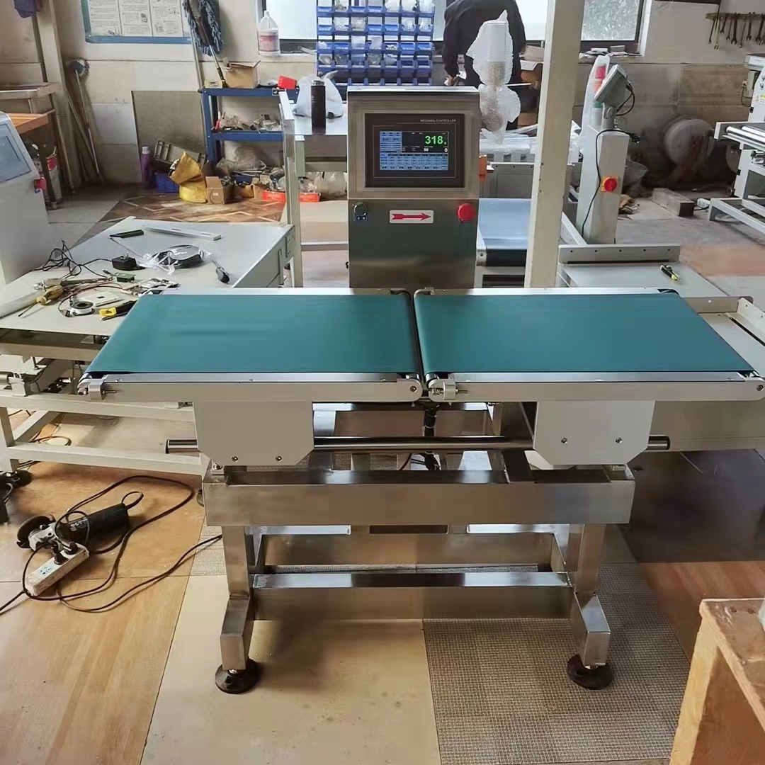 动态重量检重称 在线分选异常漏装 报警剔除食品流水线称重检测机