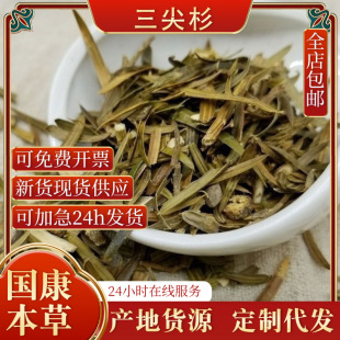 �a��ֱ�l���]��ș���ؼ�Ұ�� ��ɼ����ɼ ��β�� ����~�����