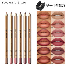 YOUNG VISION 6ɫ˿���ƹ�ľ�˴��߱���װ �����ʵ�