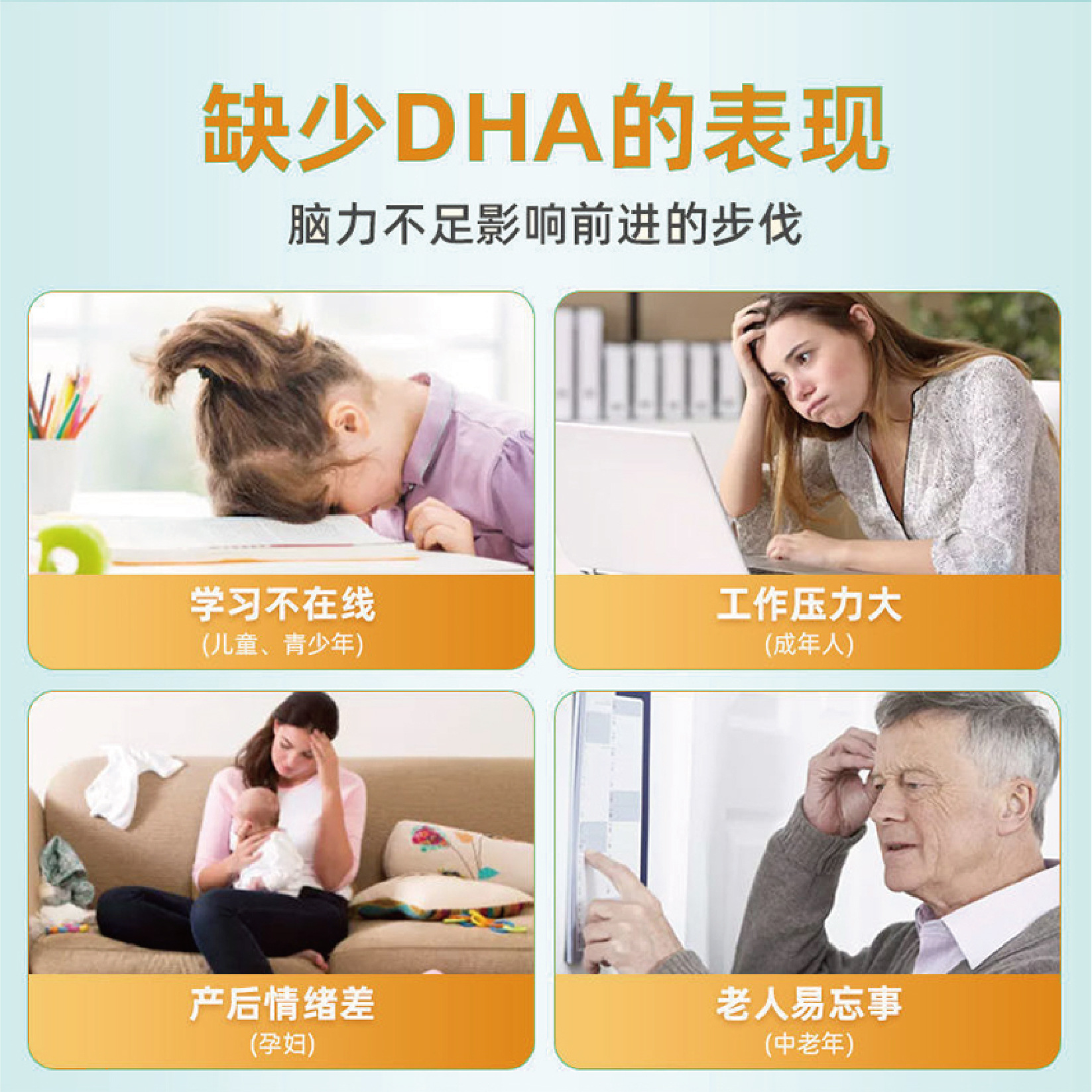 dha海藻油