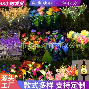 ����̫������տ�����ͥԺ���@��ƺ�bز�����澰�^ֲ��Շ���