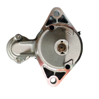 0.8Kw 8t, Starter and accessories