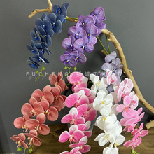 3D��ӡ�zƬ9�^�����m���滨�Ҿӻ�c�������Q�ٻ��羳؛Դ