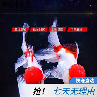 ���~���w��ˮ�~С���ͻ�С�~��̩�{�^�p�~��ˮ�����^�p�~�m���\��