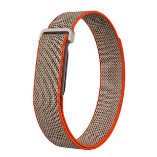 �羳Դ�^�F؛�m�ùȸ�펧Google Fitbit Air�펧����ħ�g�N��