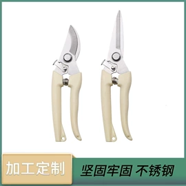 修枝剪;厨用剪刀;铁皮剪