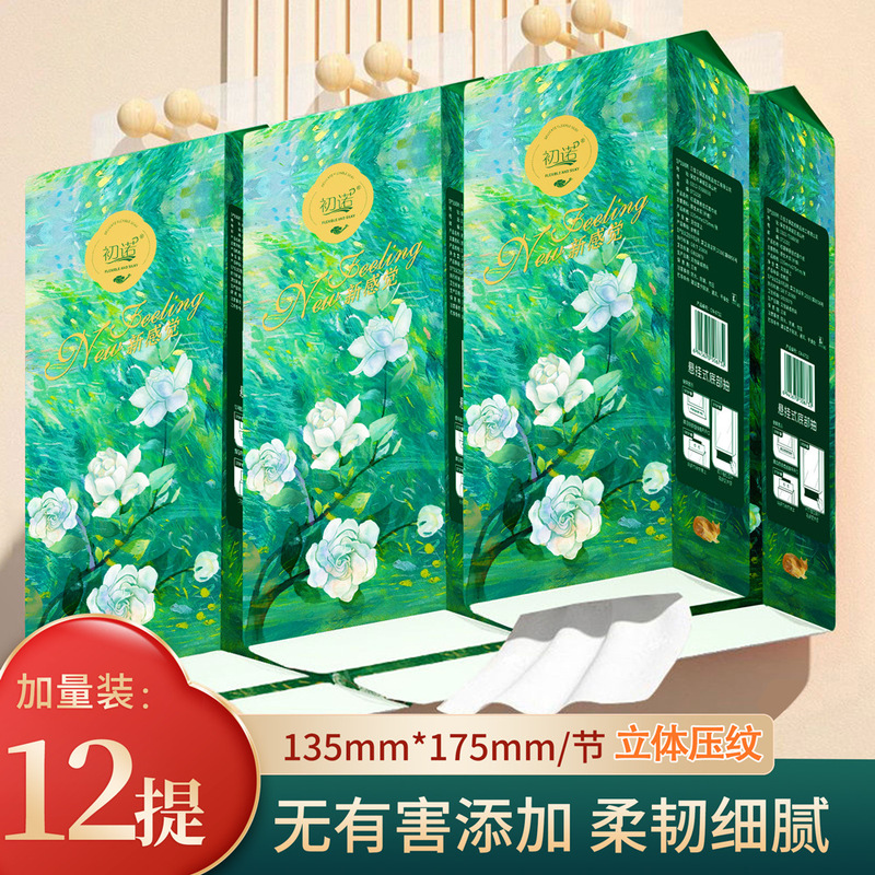 12 Large Household Hanging Tissue Boxes, Hanging Tissue Packs, Full Box of Napkins, Toilet Paper, Hand Towels, Toilet Paper Df