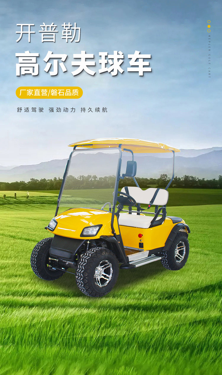 2-seat electric golf cart security patrol car building reception car scenic spot sightseeing car electric shuttle
