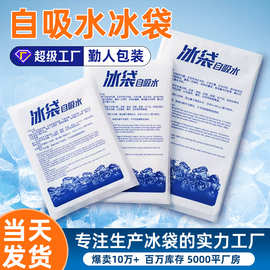 抗爆冰袋双面自吸水一次性保冷可重复使用蛋糕外卖专用冷藏袋冰包
