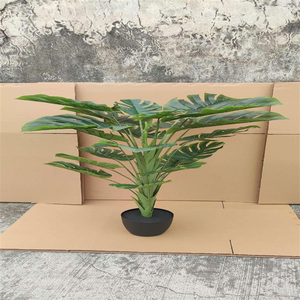 微信图片_20241231112919