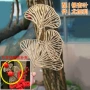 春节仿真塑料仿真花中国结
