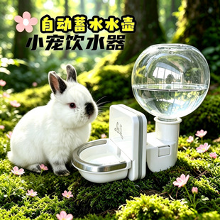 ��ɭ��ˮ���ˮ�����Ӻ��m�iιˮ���P䓷���ҧ�������Ԅ��mˮ��