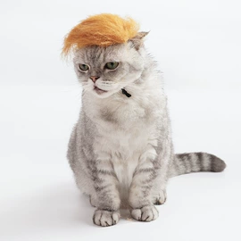 仓鼠窝、笼;猫猫服饰;猫猫窝/笼/垫