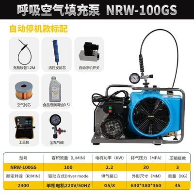 Hava kompressorları Air Compressor Diving Rescue - nrw-100gs-220v-comes-standard-with-free-oil-filter-element