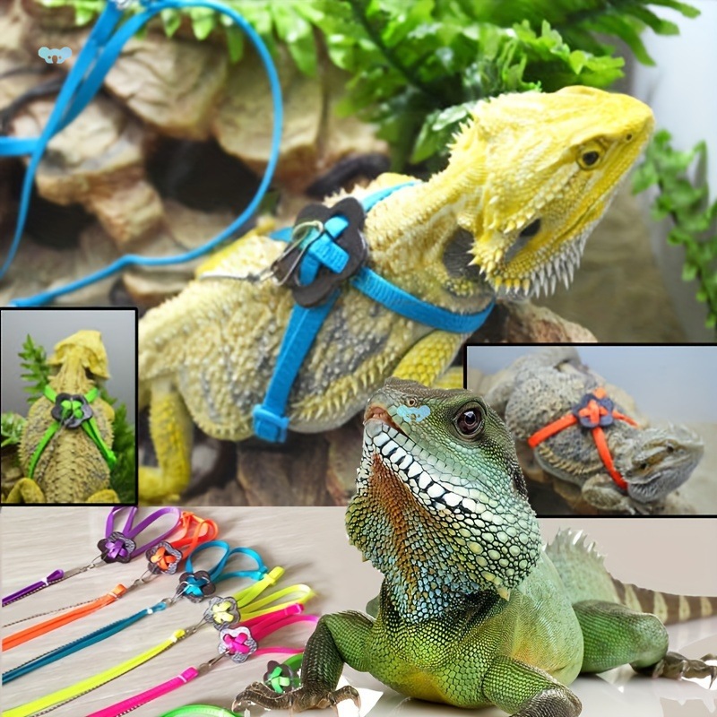 Reptile Harness Leash for Lizards Small Pets Adjustable跨境