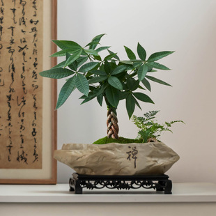 ���s��ʯ�lؔ�仨���մɂ��Ԯ��μ����҃ȾGֲ���������控�Д[��