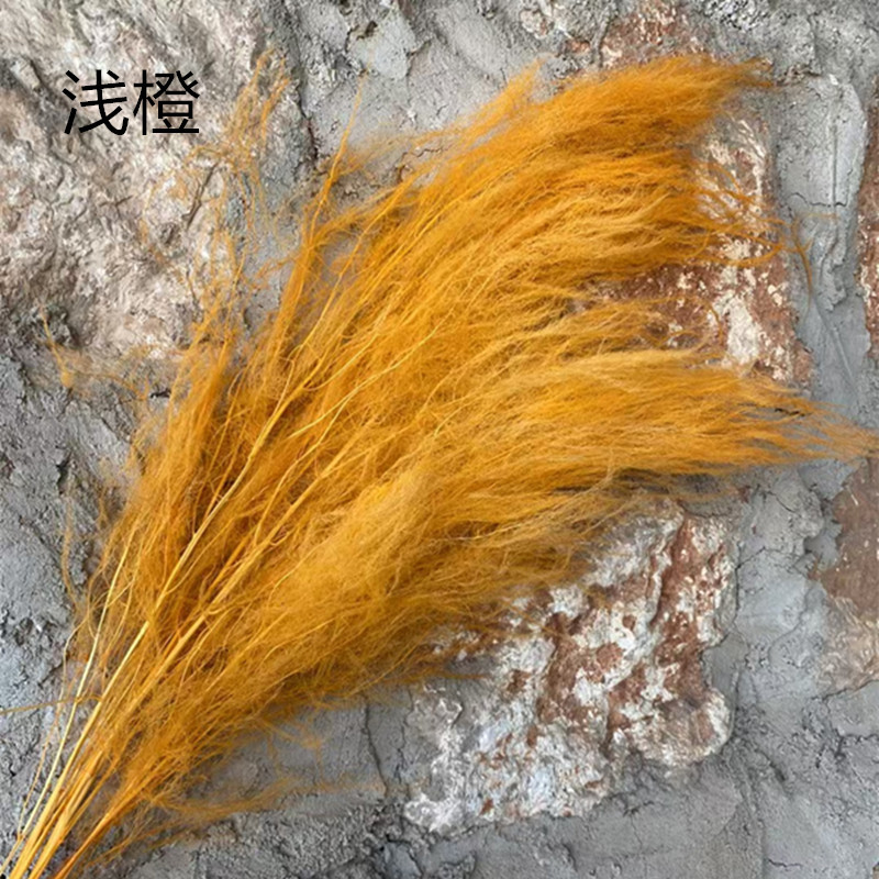 orange clair / 80-100g