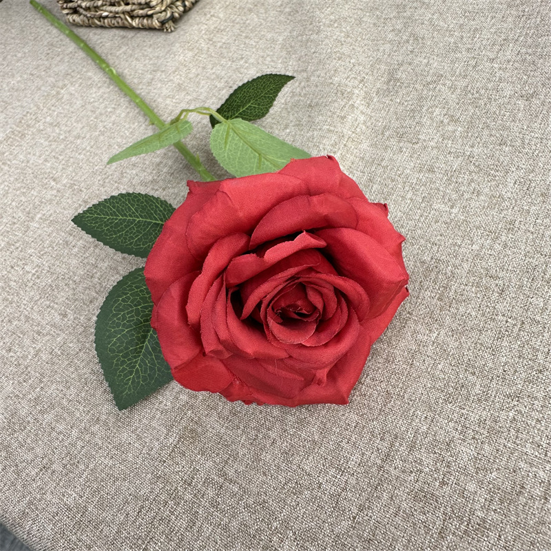 Single branch curling Rose Red