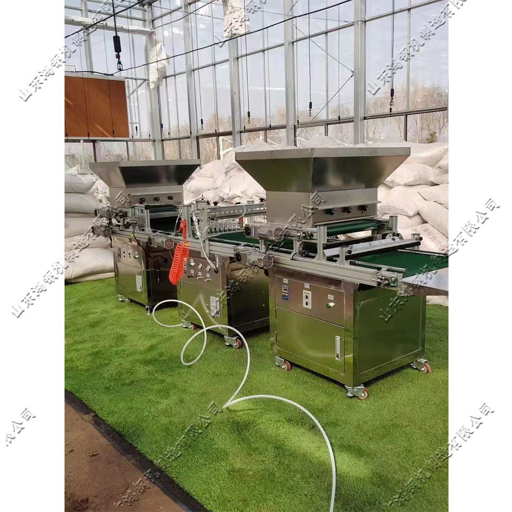 穴盘育苗播种机全自动式大棚果蔬针吸式育苗机花卉种子穴盘点播机