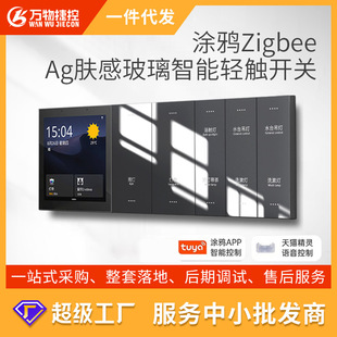 Tuya Smart Switch Panel Timing Voice Switch Supports Xiaoai Voice Control Zigbee Switch Xiaodu
