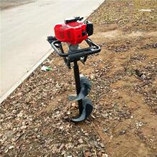 ���������ڿәC ��yʽ����Nֲ�ڿәC С�������ڿәC