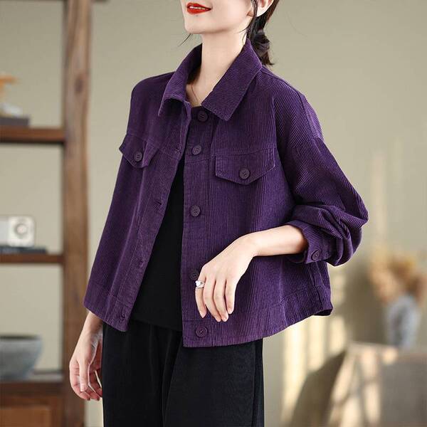 Autumn elegant velvet shirt