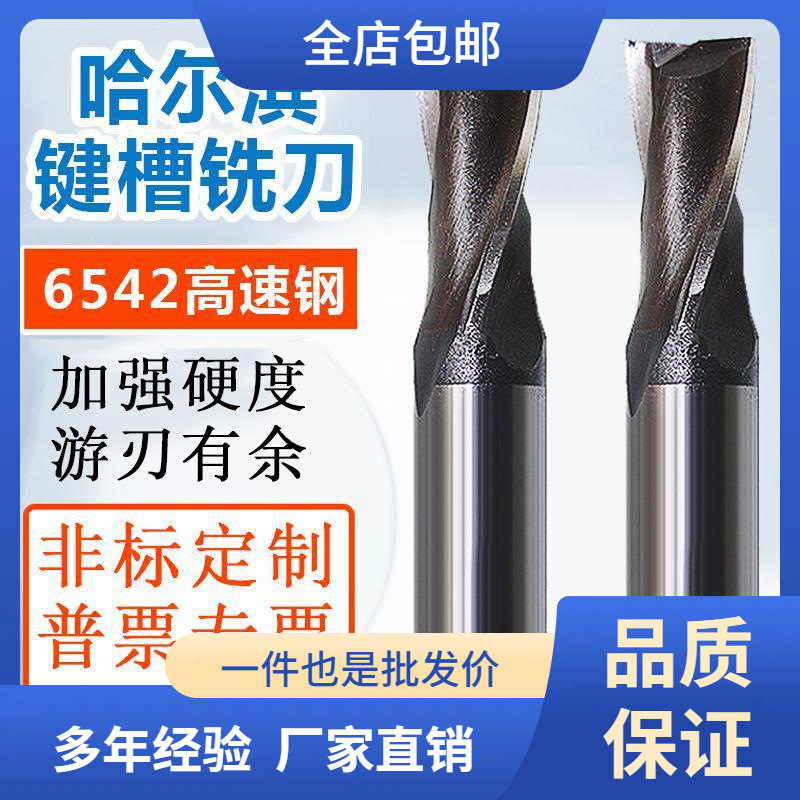 哈尔滨五环直柄键槽铣刀3 4 5 7 8 9 14 16 20二两刃铣槽3刃洗面